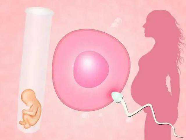 甘肃助孕机构推荐,哪些是甘肃的试管婴儿机构排名前十？?