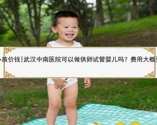 武汉代生小孩价钱|武汉中南医院可以做供卵试管婴儿吗？费用大概要多少钱？