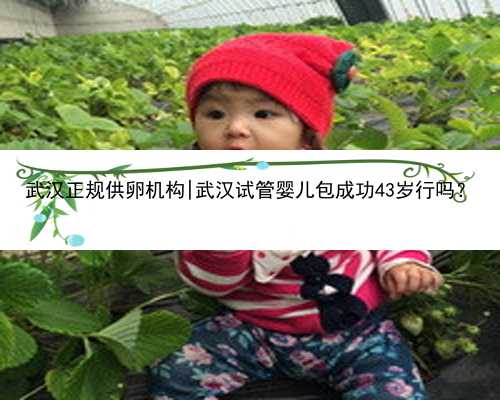 武汉正规供卵机构|武汉试管婴儿包成功43岁行吗？